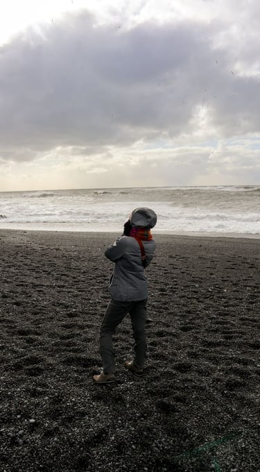 spiaggia-nera-islanda-cerbi