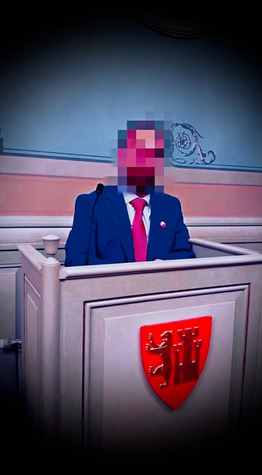 Salah Hassan Al-Saadi، Fredrikstad SV, Fredrikstad Kommune bystyret, Styrer, Styrer, råd og utvalg, Politikk - administrasjon