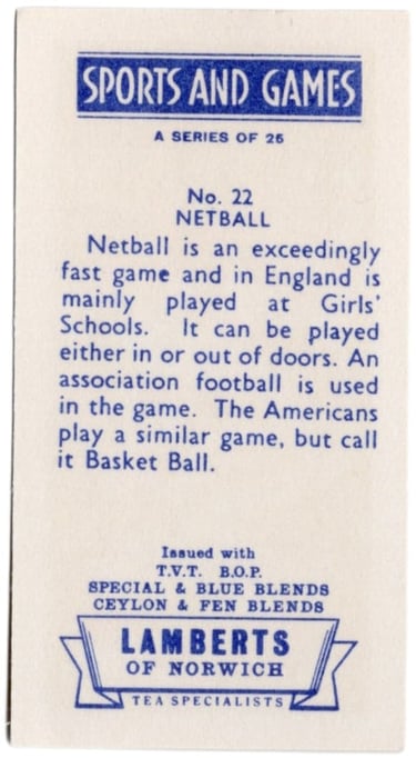 Lamberts Tea Sports & Games Basket Net Ball