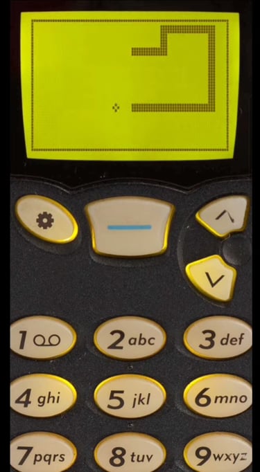 Snake on the Nokia 6110.