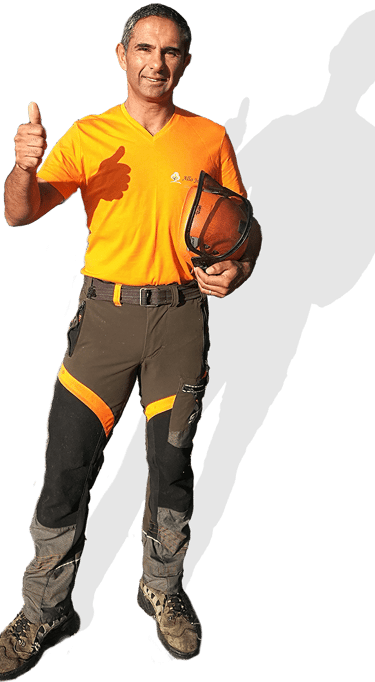 élagueur, jonathan, pouce en haut