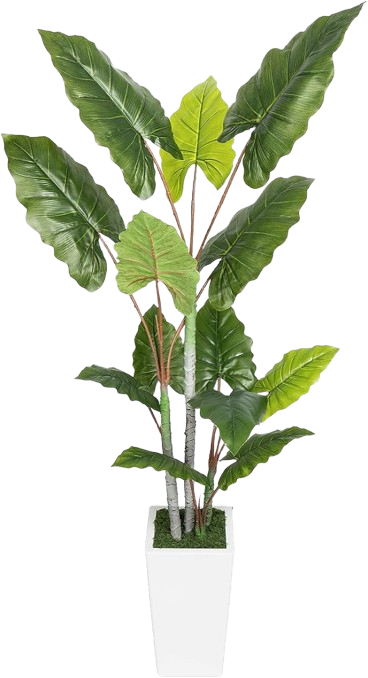 Tall artificial indoor plant for minimalist dining room greenery