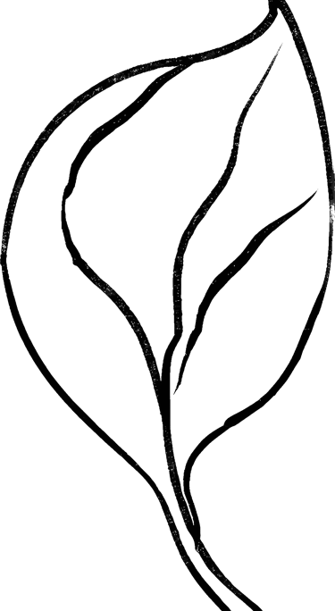 Line leaf drawing used as a bullet point 3