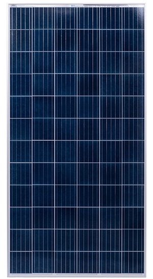 Polycrystalline