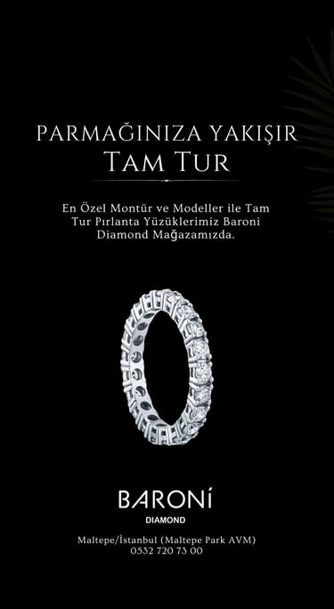 Baroni Post Tasarımı  Tamtur