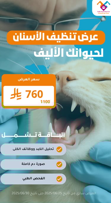 عرض تنظيف الأسنان الاحترافي لصحة فم أليفك