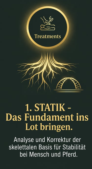 German infographic about skeletal stability treatments for humans and horses with gold root and arch graphics.