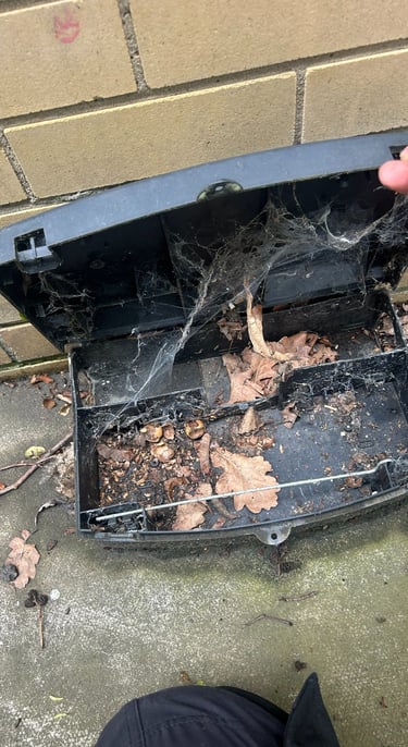 Rat bait station with cobwebs and leaves