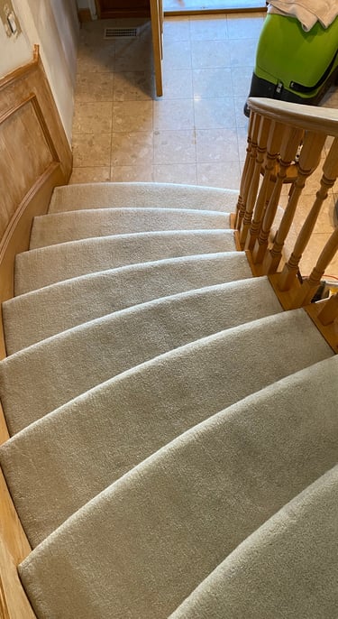 freshly cleaned carpet