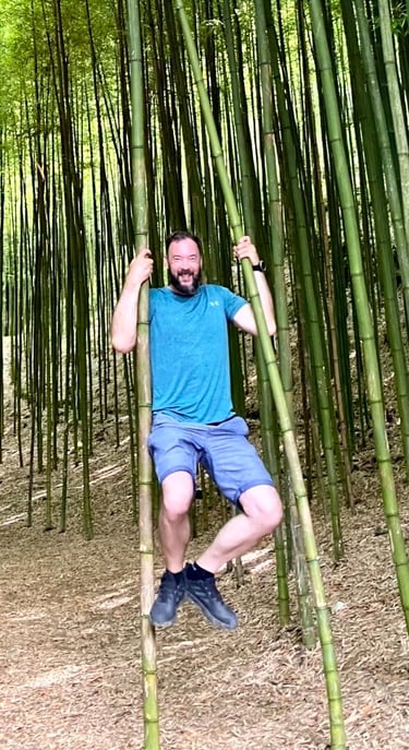 a man in front of a bamboo trees