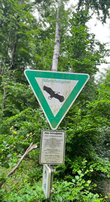 Infobord met aanduiding van beschermd natuurgebied aan de rand van het bos.