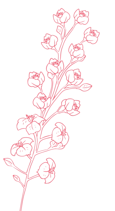 Motif décoratif fleurs - Wendy Baqué, chroniqueuse littéraire.