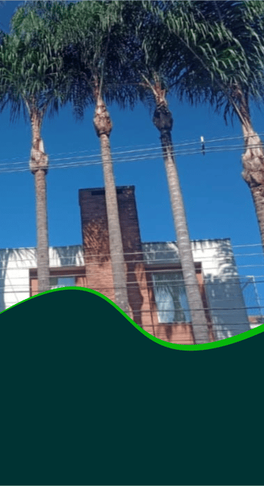 corte-arvores-curitiba-pr