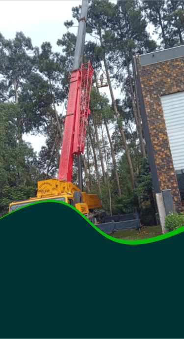 Serviço de corte de árvores de alto risco com guindaste e plataforma em Curitiba