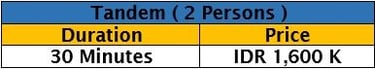 tandem price