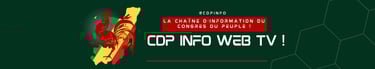 CDP INFO WEB TV