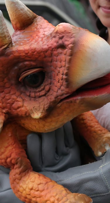Tracy the triceratops