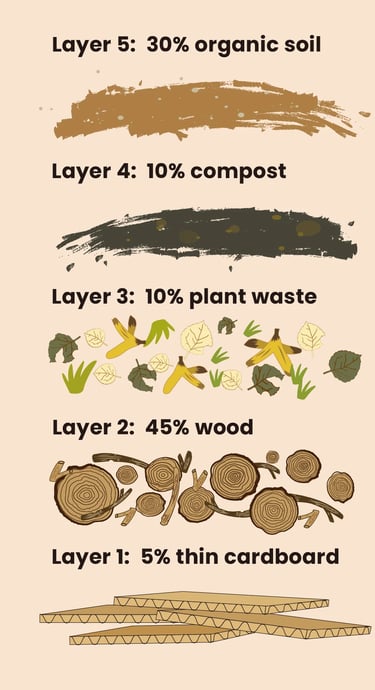 overview of the soil components