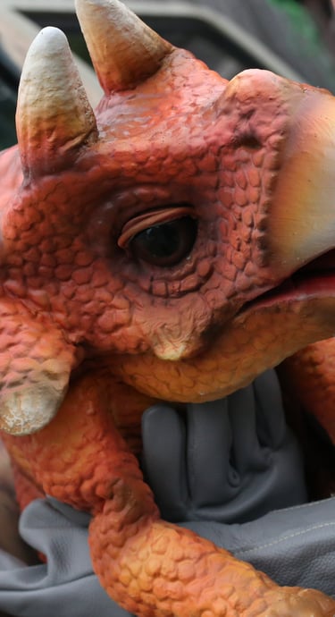 Tracy the triceratops