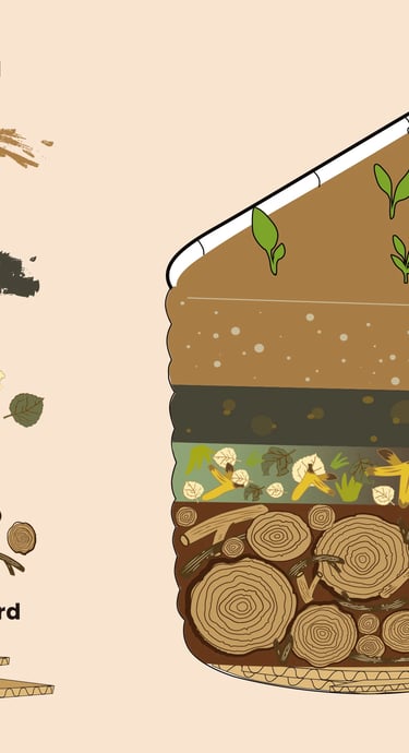 overview of the soil components