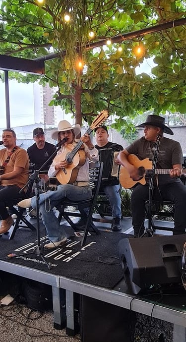 Banda de Sertanejo FF produções artísticas