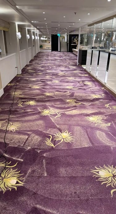 čistenie kobercov suchou metodou proces