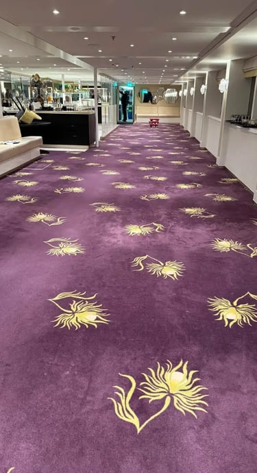 čistenie kobercov suchou metodou vysledok