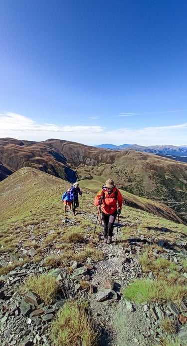 grupo caminando en una excursión de montaña