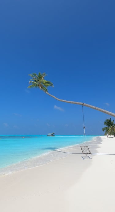 eau turquoise palmier maldives