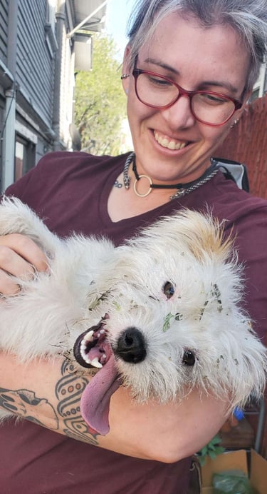 A tired, happy, messy puppy is lounging in a smiling persons arms, looking at the camera