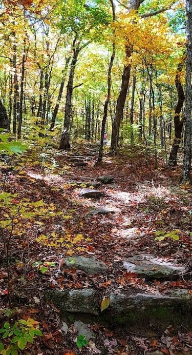 Chatsworth, GA - Scenery heading uphill on Stone Wall trail