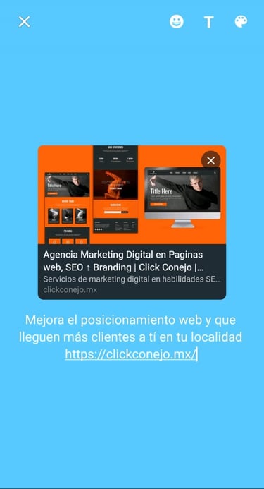 seo whatsapp