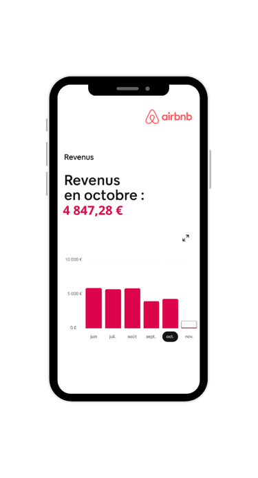 visuel représentant les revenus sur Airbnb, le chiffre d'affaire généré sur 1 mois de location