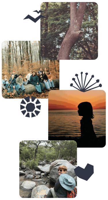 Four images stacked: a tree, a group of girls outdoors, silhouette of a girl, and a woman sitting on rocks.