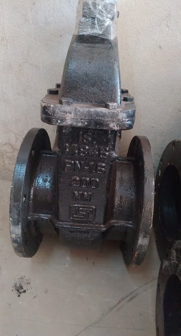Plain Valves