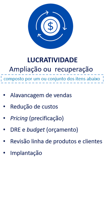 Lucratividade, alavancagem, redução de custos, DRE, implantação de departamentos