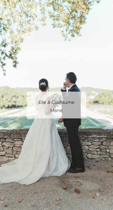 Mariage Elie & Guillaume, couple face au paysage provençal, Mane