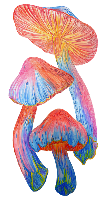 "Abstract Mushrooms" by Sezer Ali
