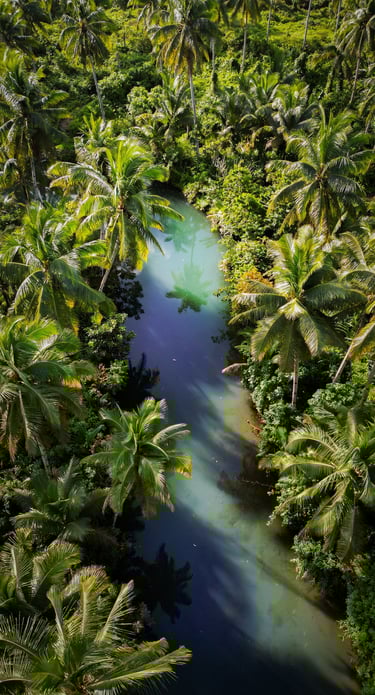a river with a blue green water and palm trees