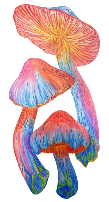 "Abstract Mushrooms" by Sezer Ali