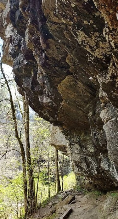 Fall Creek Falls, Pikeville - Massive rock overhang towards bottom of trail