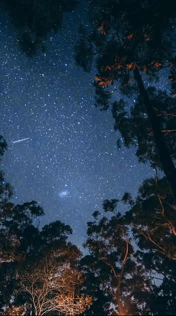 Découvrez la collection Explorateurs 