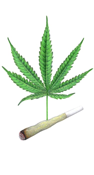 Cannabis illustration