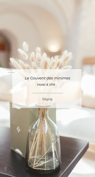 Hôtel de charme en Provence, décoration élégante à Mane