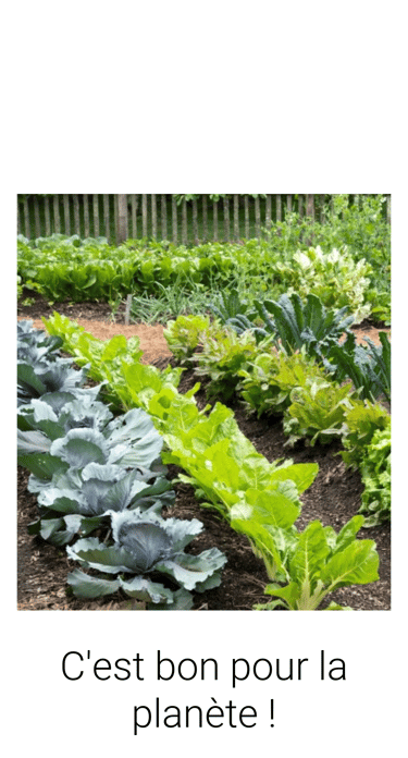 a garden with a variety of vegetables and vegetables
