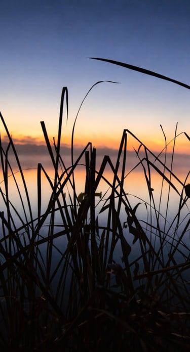 stocks infront of a river with a sunset in the background as sunrise