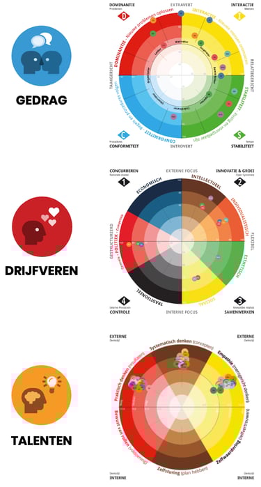 DISCOVER voor teamontwikkeling, DISCOVER teamwielen
