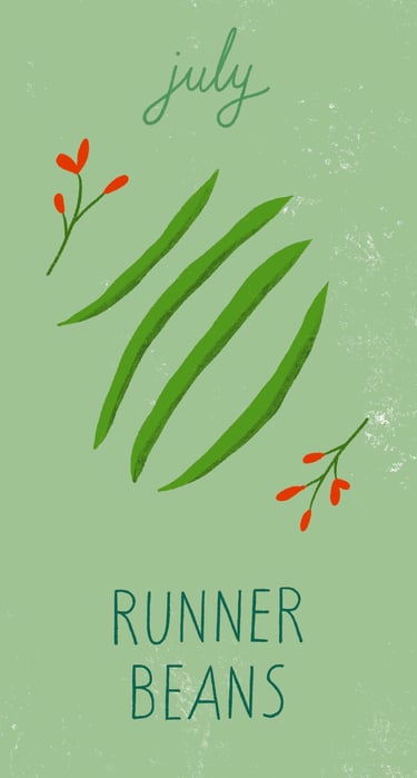 July illustration shows flowering runner beans on a green background.