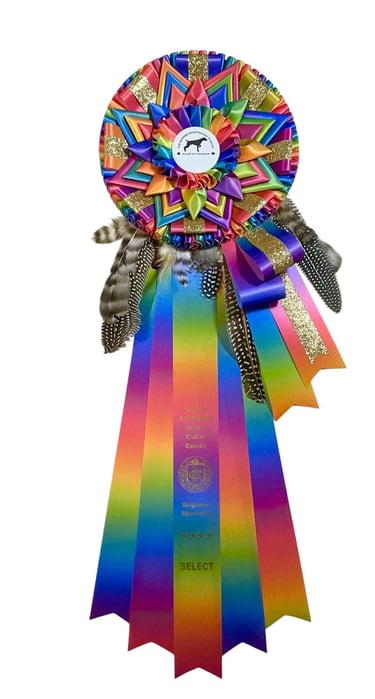 E7, agrémenté de plumes et ruban scintillant.