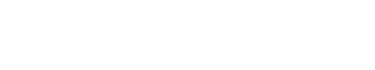 Epic Flow Logo